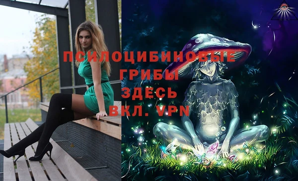 гидропоника Навашино