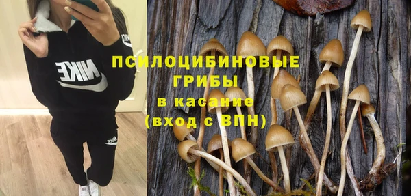 первитин Абаза