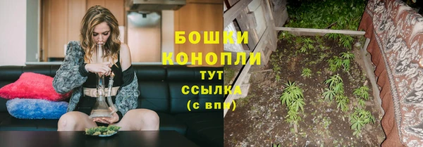 СК Надым