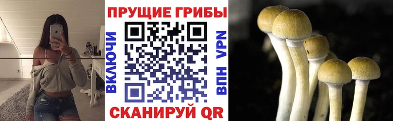 Галлюциногенные грибы GOLDEN TEACHER  Топки 